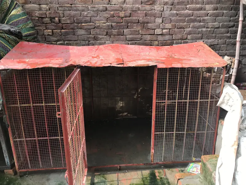 Big cage urgent for sale — photo 5