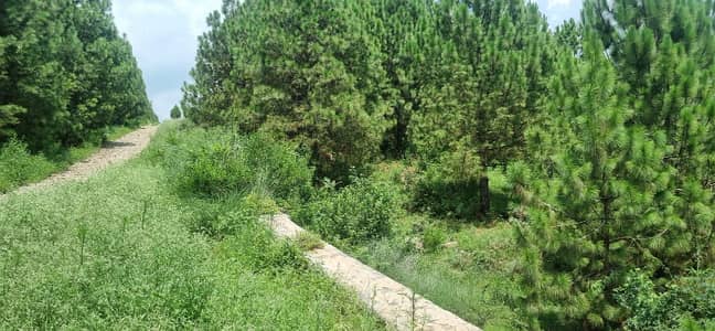 1 Kanal Plot For Sale | Town Ship Scheme Sector C.