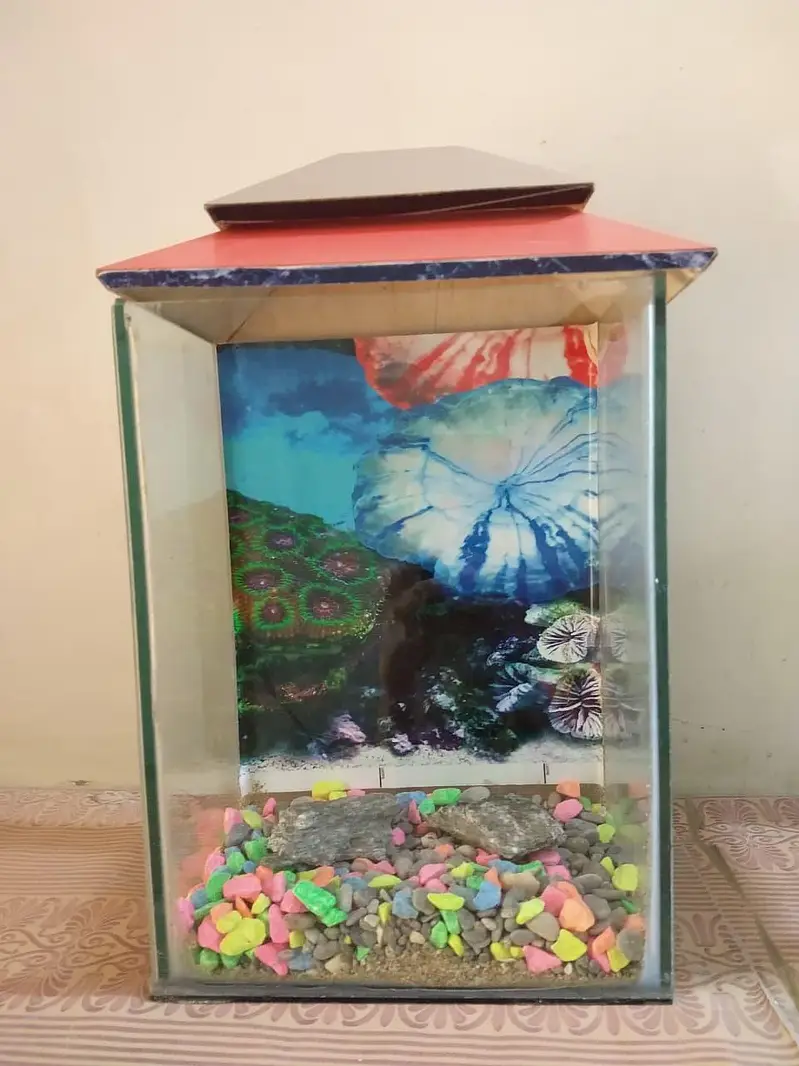 Fish Aquarium With Beautiful Sand And gravels — photo 2