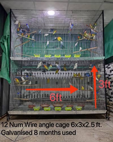 Foldable Portion Cage & Colony Cage