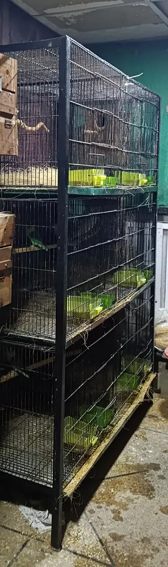 Foldable Portion Cage & Colony Cage — photo 2