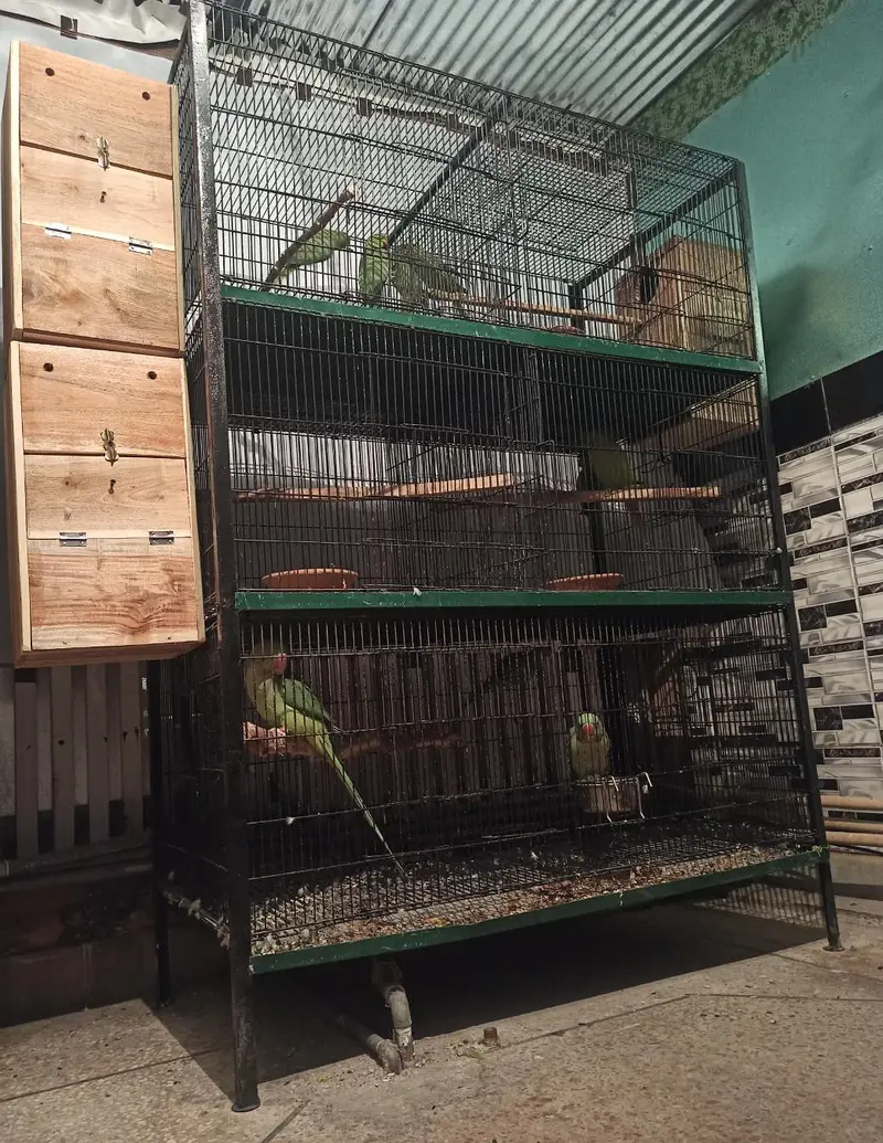 Foldable Portion Cage & Colony Cage — photo 3