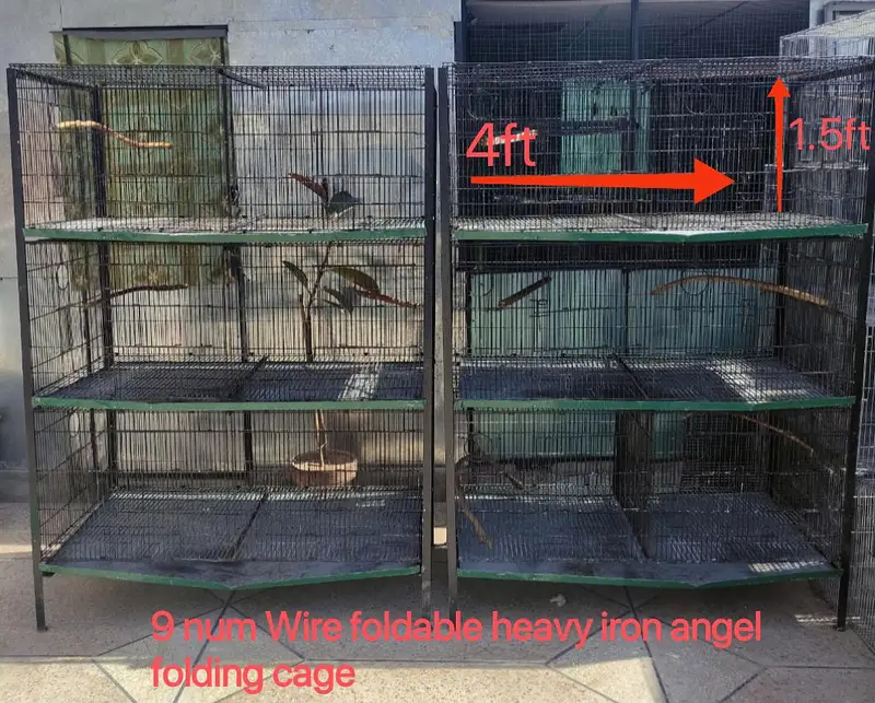 Foldable Portion Cage & Colony Cage — photo 4