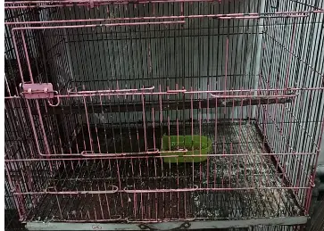 03 portion folding cage for Sale — photo 2