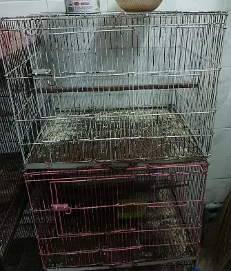 03 portion folding cage for Sale — photo 3