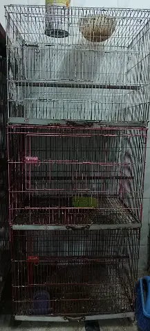 03 portion folding cage for Sale — photo 4