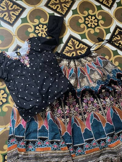 Embroidered lehanga