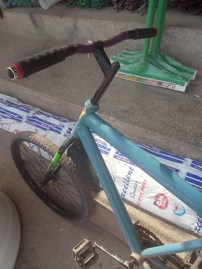 phonix cycle