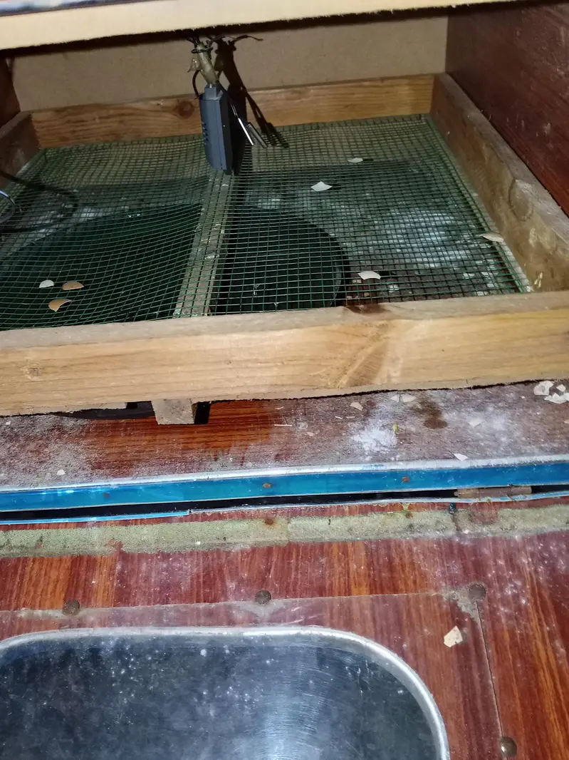 60 eggs ac/DC incubator — photo 2