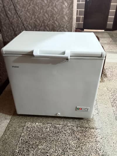 Haier freezer single door