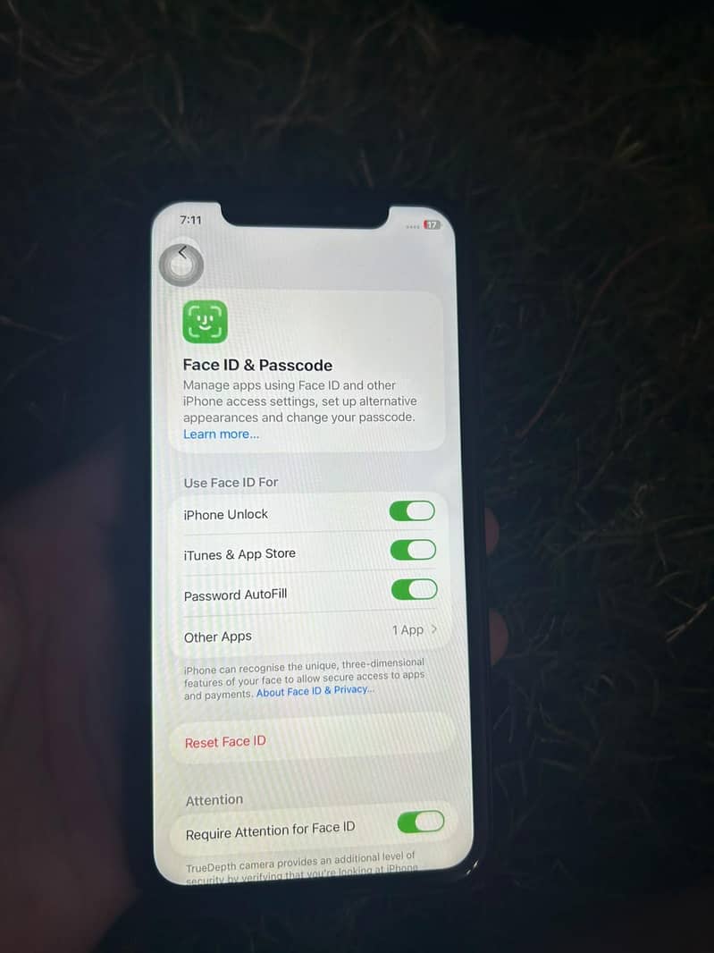 Apple iPhone 11 13
