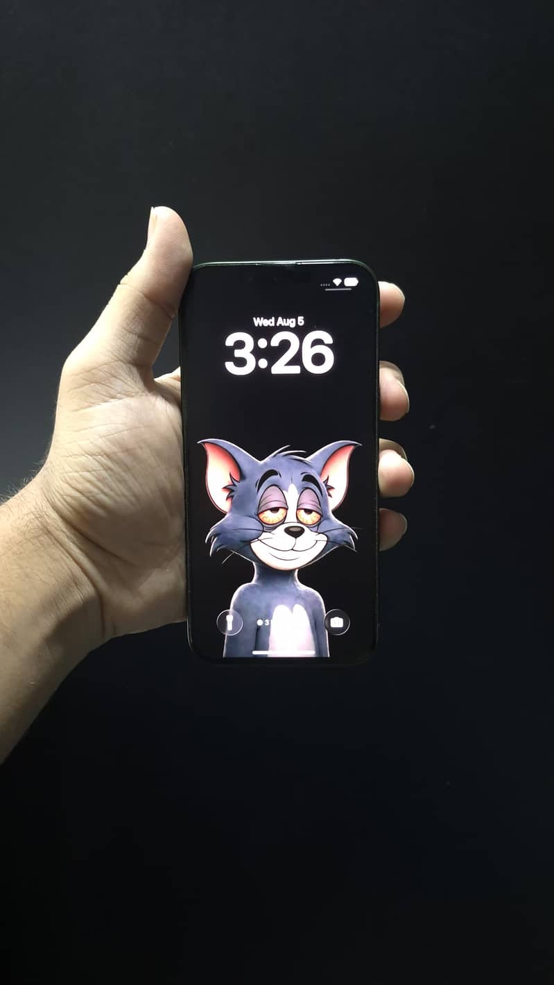 Apple iPhone 13 5