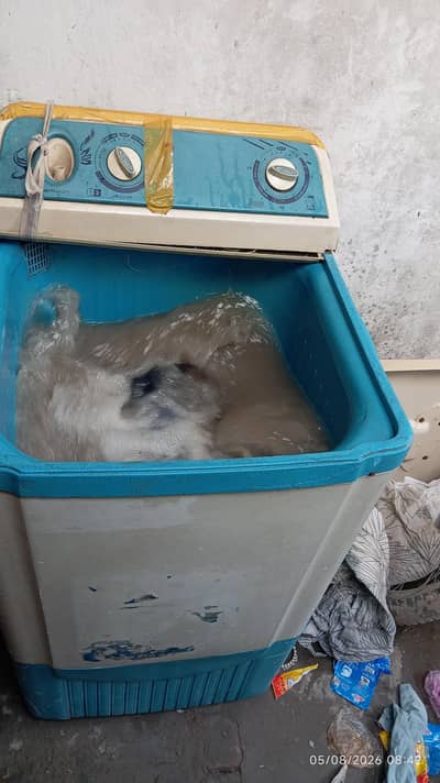 washing machine