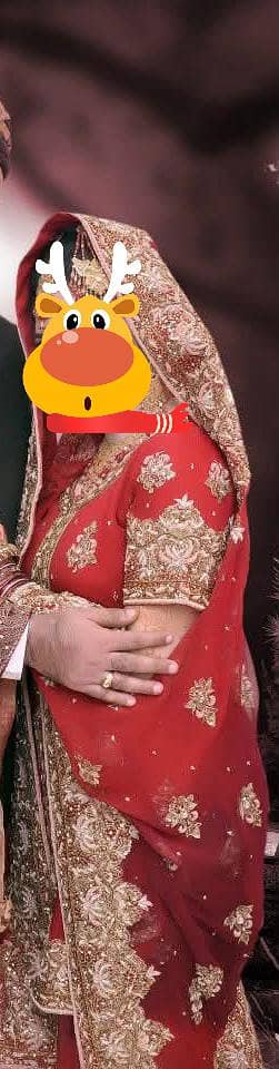 bridal lahnga