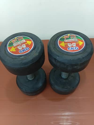 6kg Dumbbell ( Pair of 2 )