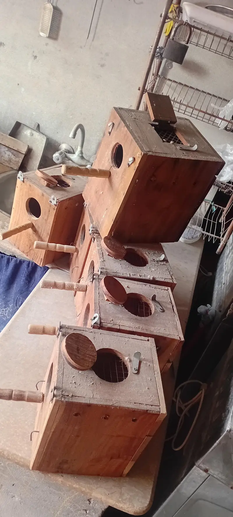 12 box Ventilation Wale   Contact by serious person — photo 2