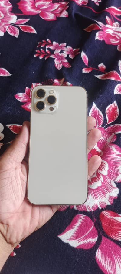 Apple iPhone 12 Pro Max
