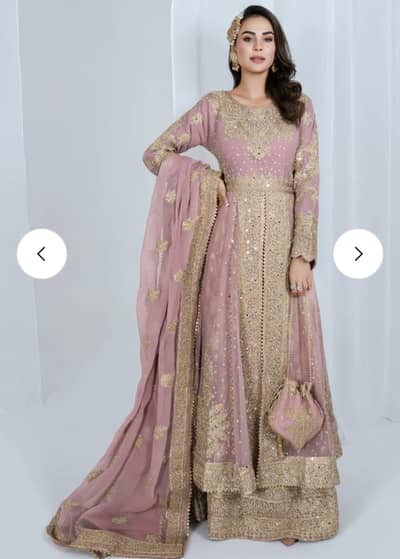 Haseens brand Festive/party wear