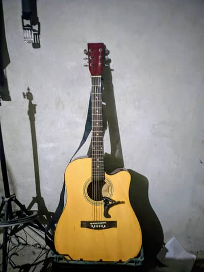 Accoustic Guitar