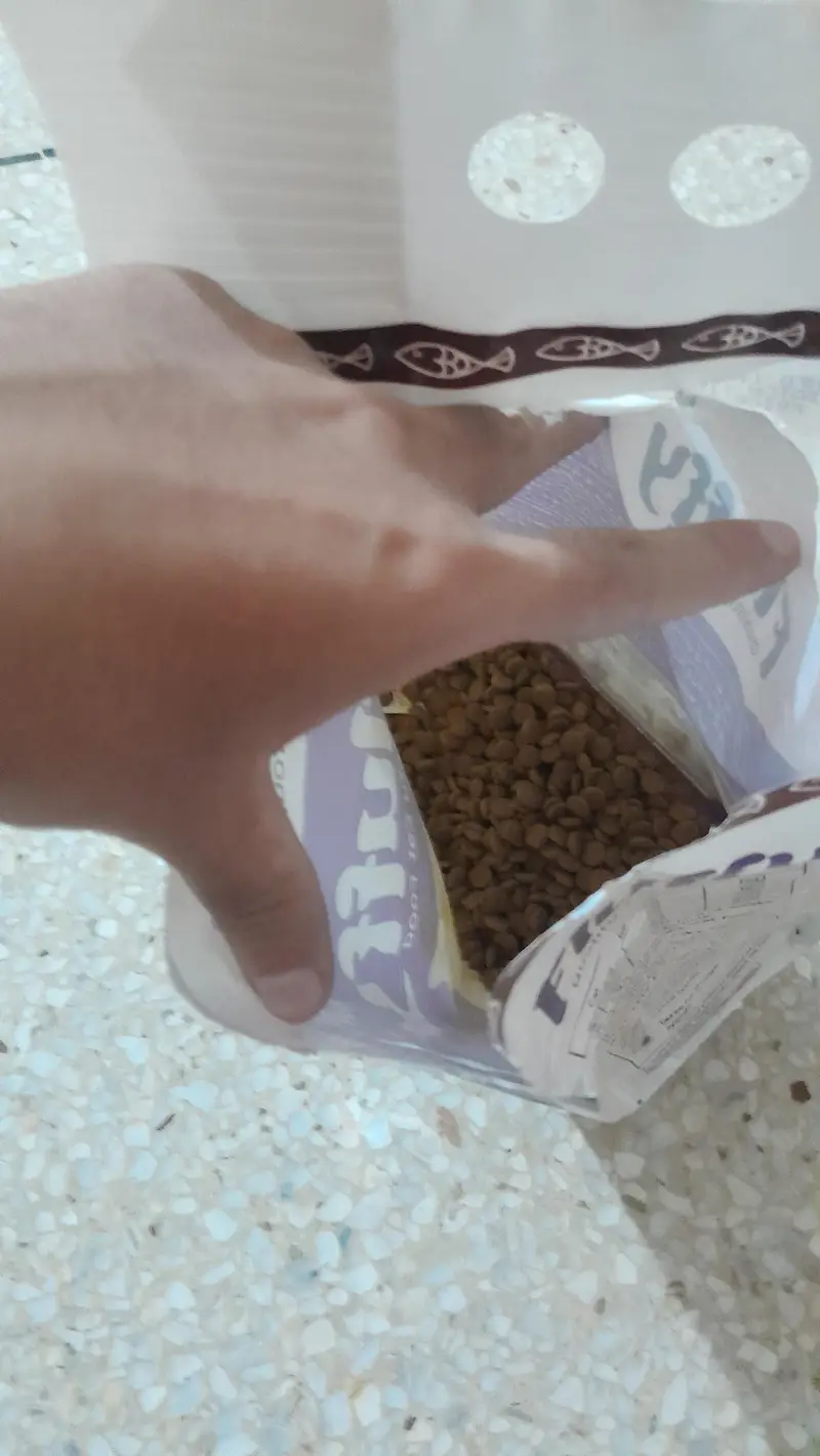Fluffy Cat food and Klumpy lavender litter used — photo 2