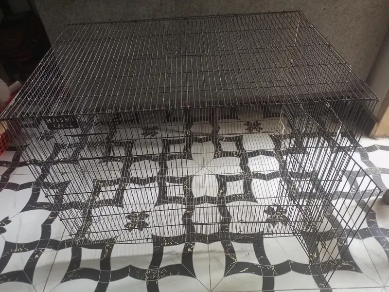 iron cage — photo 2