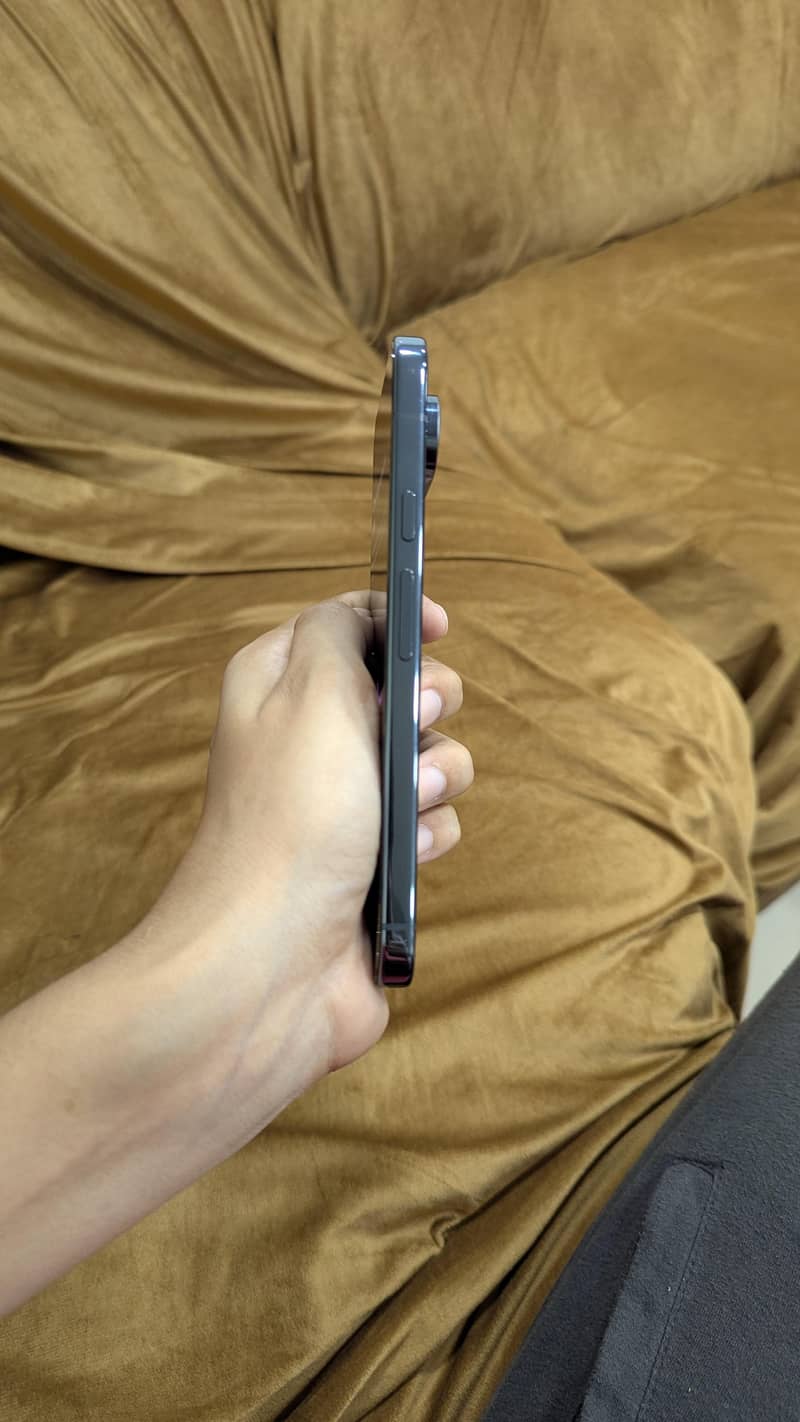 Google Pixel 9 Pro XL 1