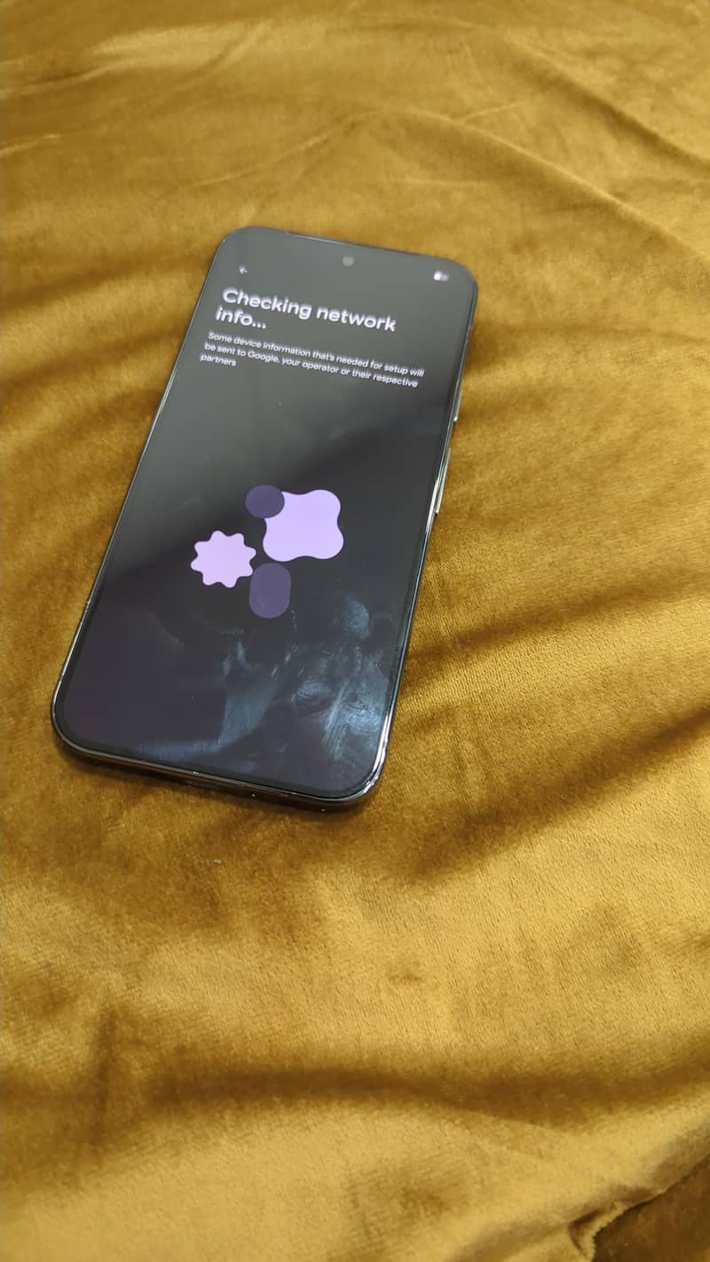 Google Pixel 9 Pro XL 5