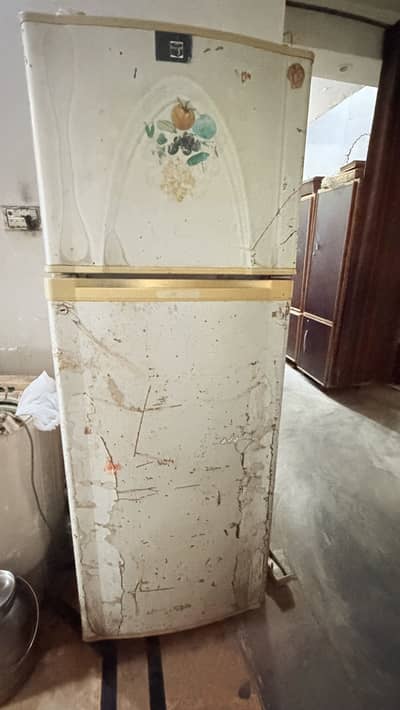 Fridge