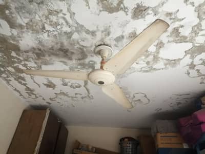 ceiling fans for sale