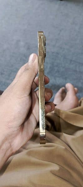 iphone 13 pro max 4