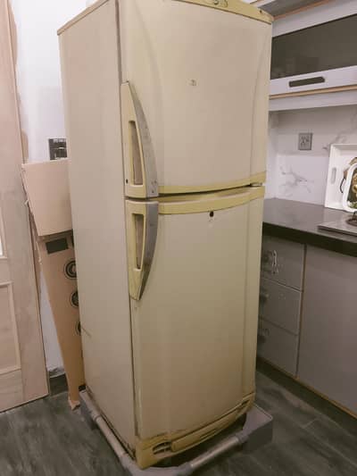 PEL medium sized refrigerator for sale