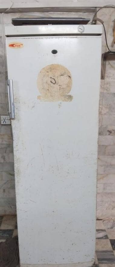 SGR Single Door Upright Deep Freezer for Sale - 100% Working Condition
