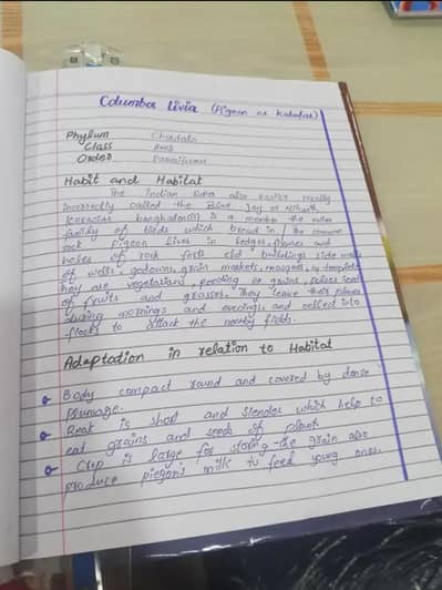 assignment writing