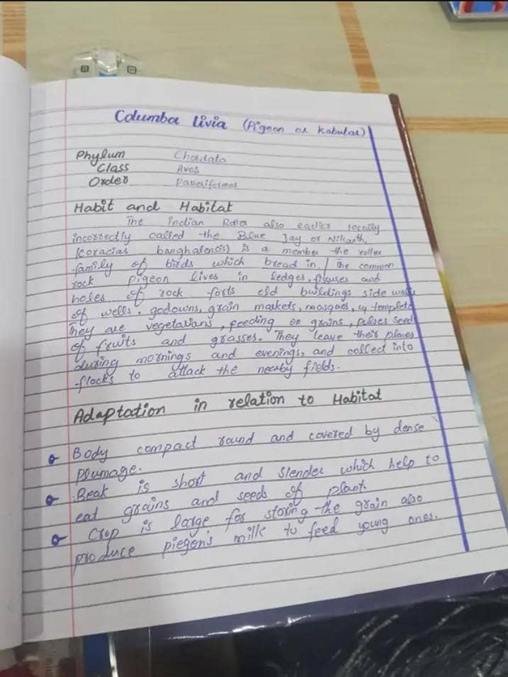 assignment writing 0
