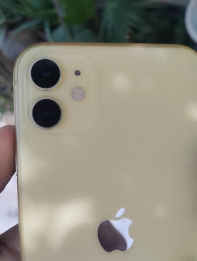 Apple iPhone 11