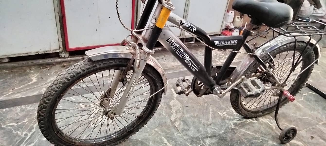 bicycle 2