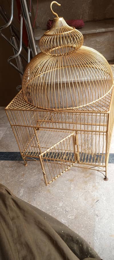 cage 60year old 0320.4086160