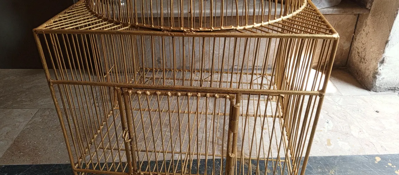 cage 60year old 0320.4086160 — photo 5
