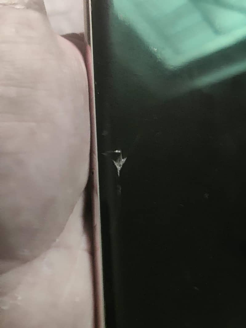 Google Pixel 7 Pro 3