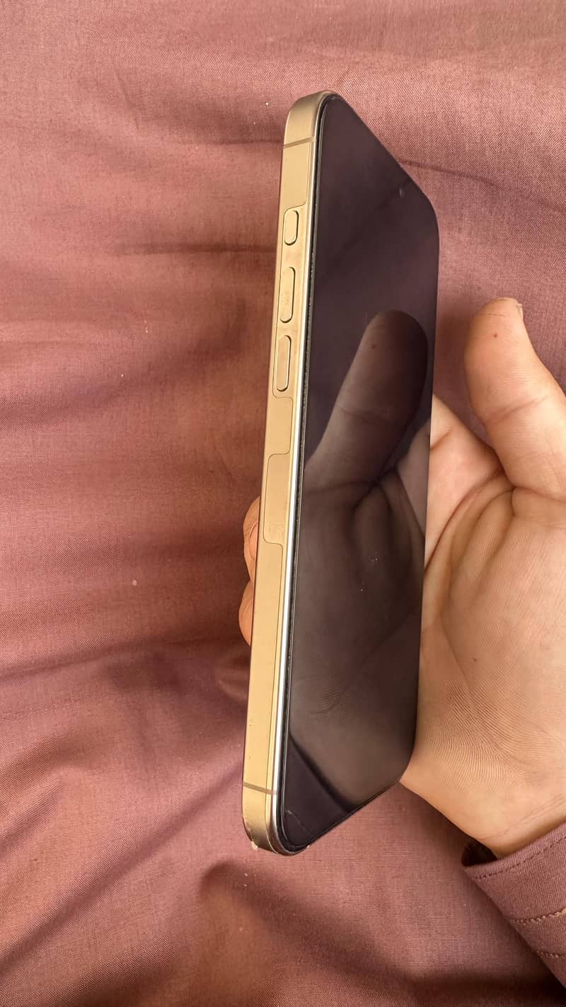 Apple iPhone 16 Pro Max 1