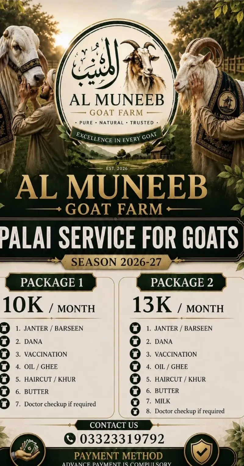 Palai service available