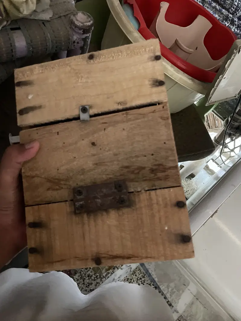 Double portion cage for sale — photo 4