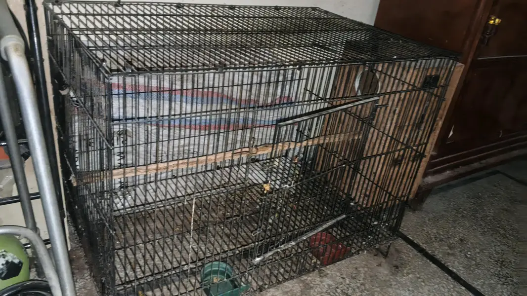 Fordable Massive Size Cage — photo 2