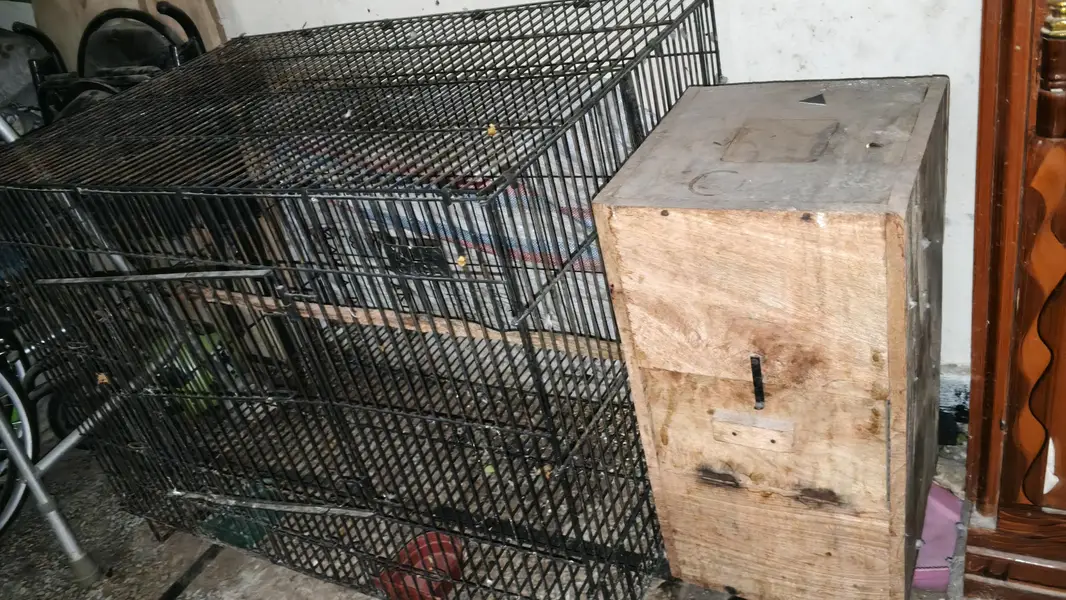 Fordable Massive Size Cage — photo 3