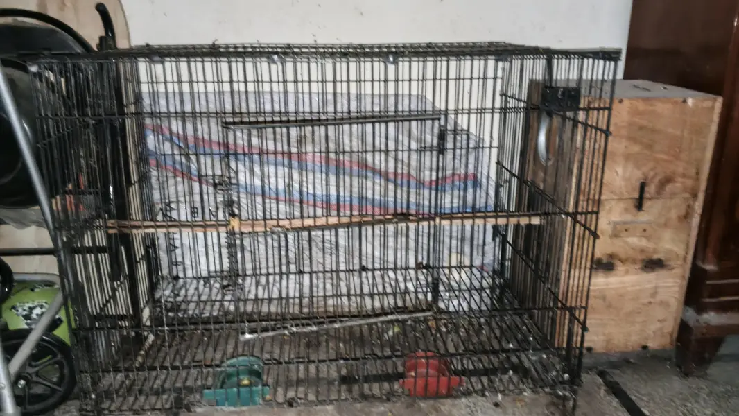 Fordable Massive Size Cage — photo 4