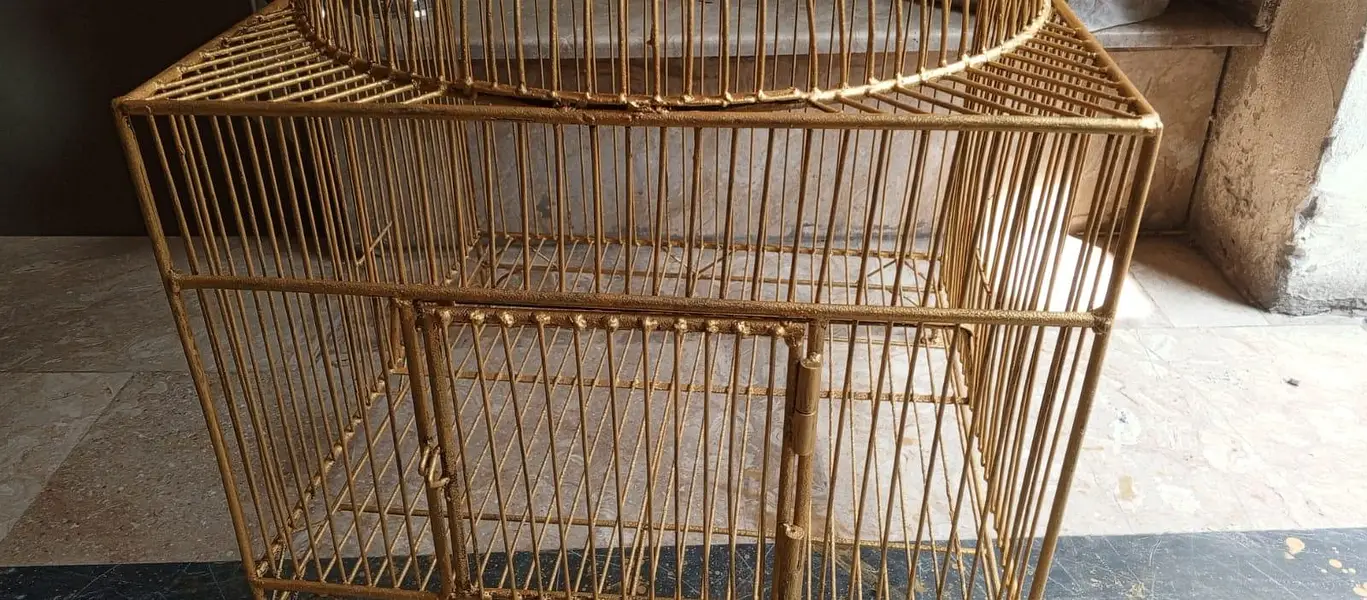 ANTIQUE 60 YEARS PARROTS CAGE(03204086160) — photo 3