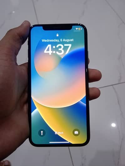 Apple iPhone X