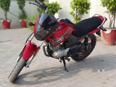 Yamaha YBR perfect condition