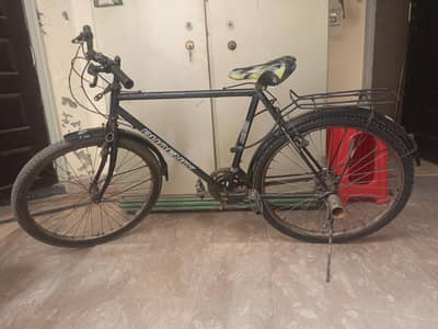 phoenix cycle