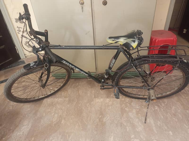 phoenix cycle 1